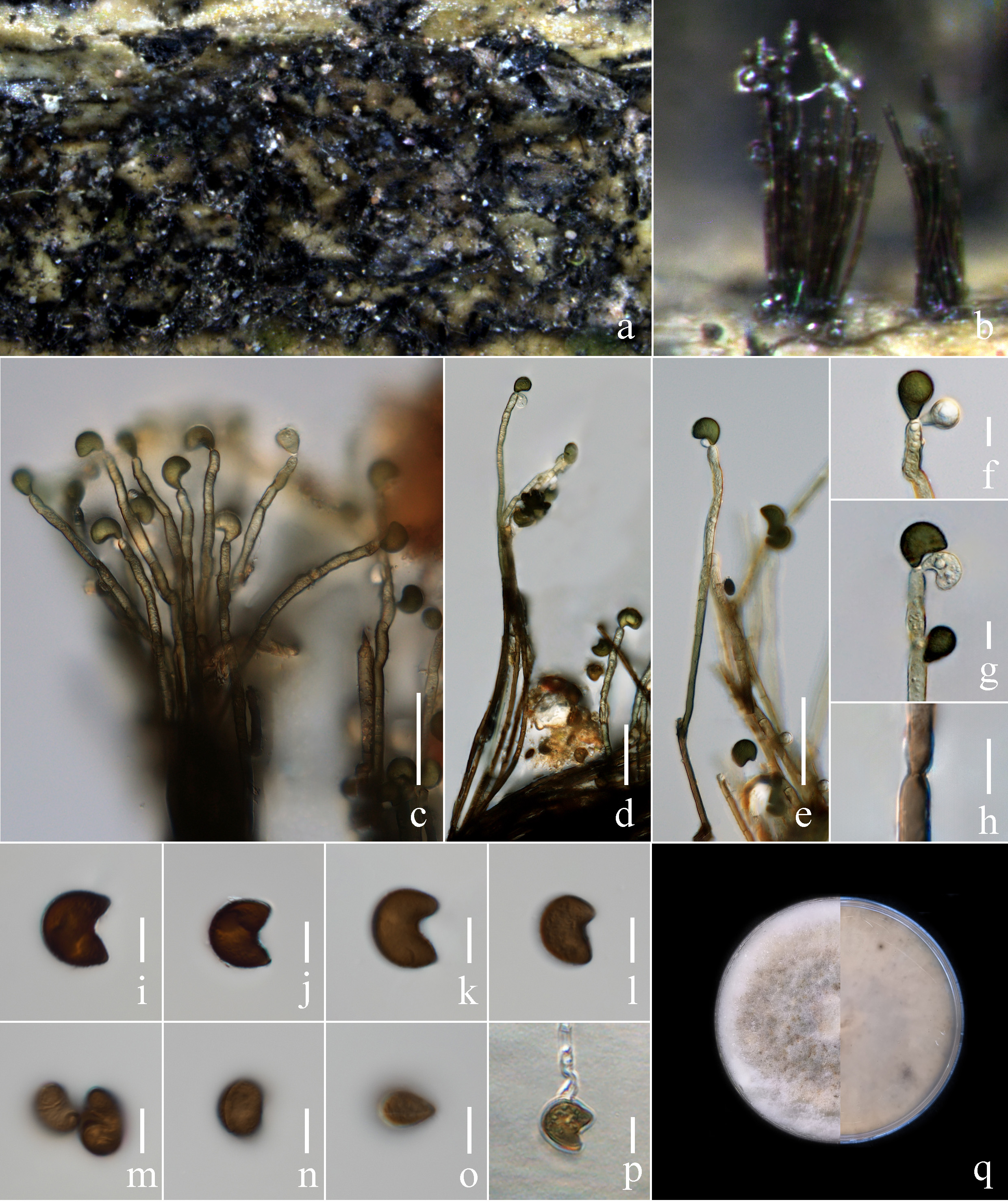 Figure 134